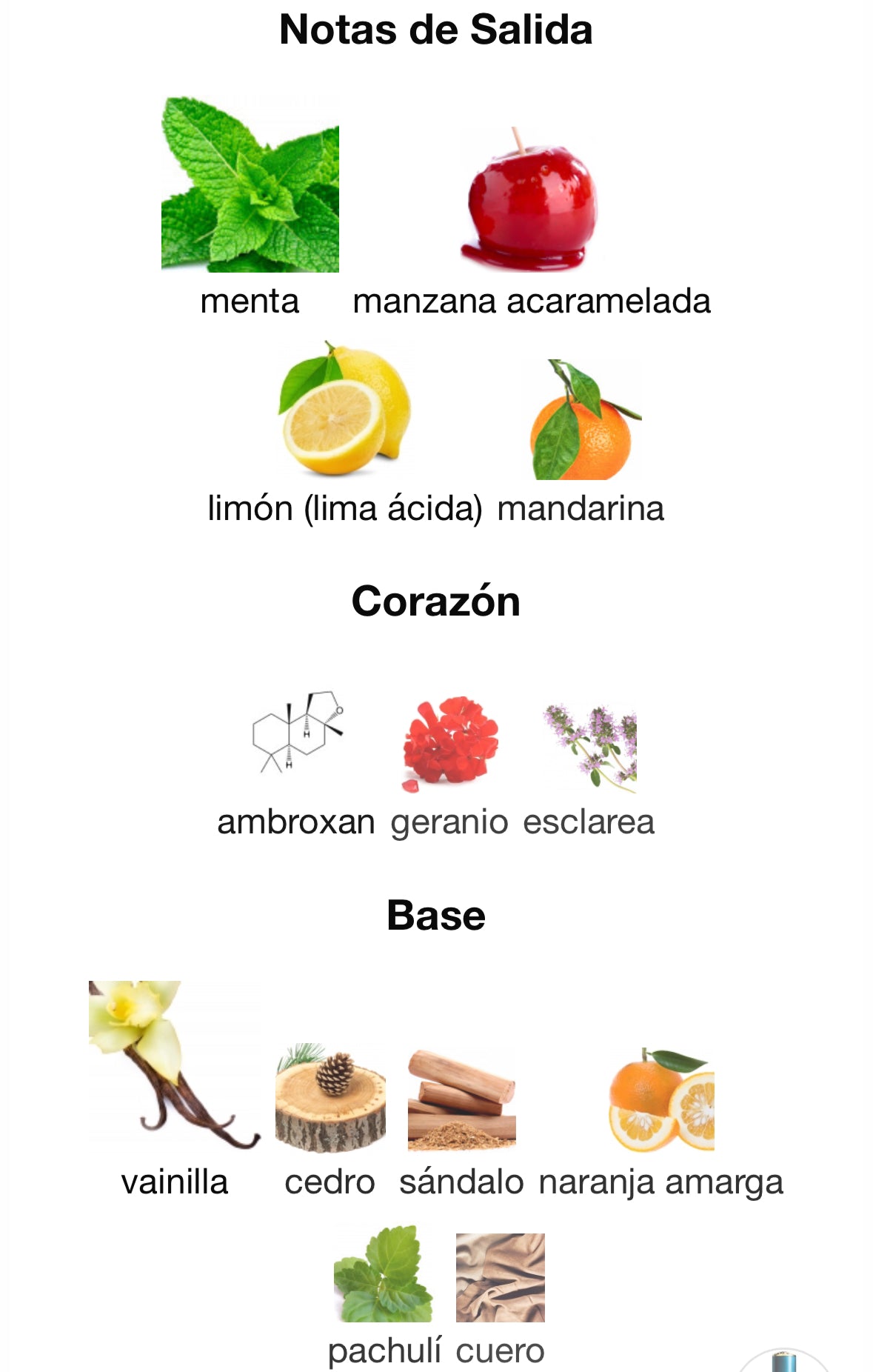 Versace Eros EAU PARFUM