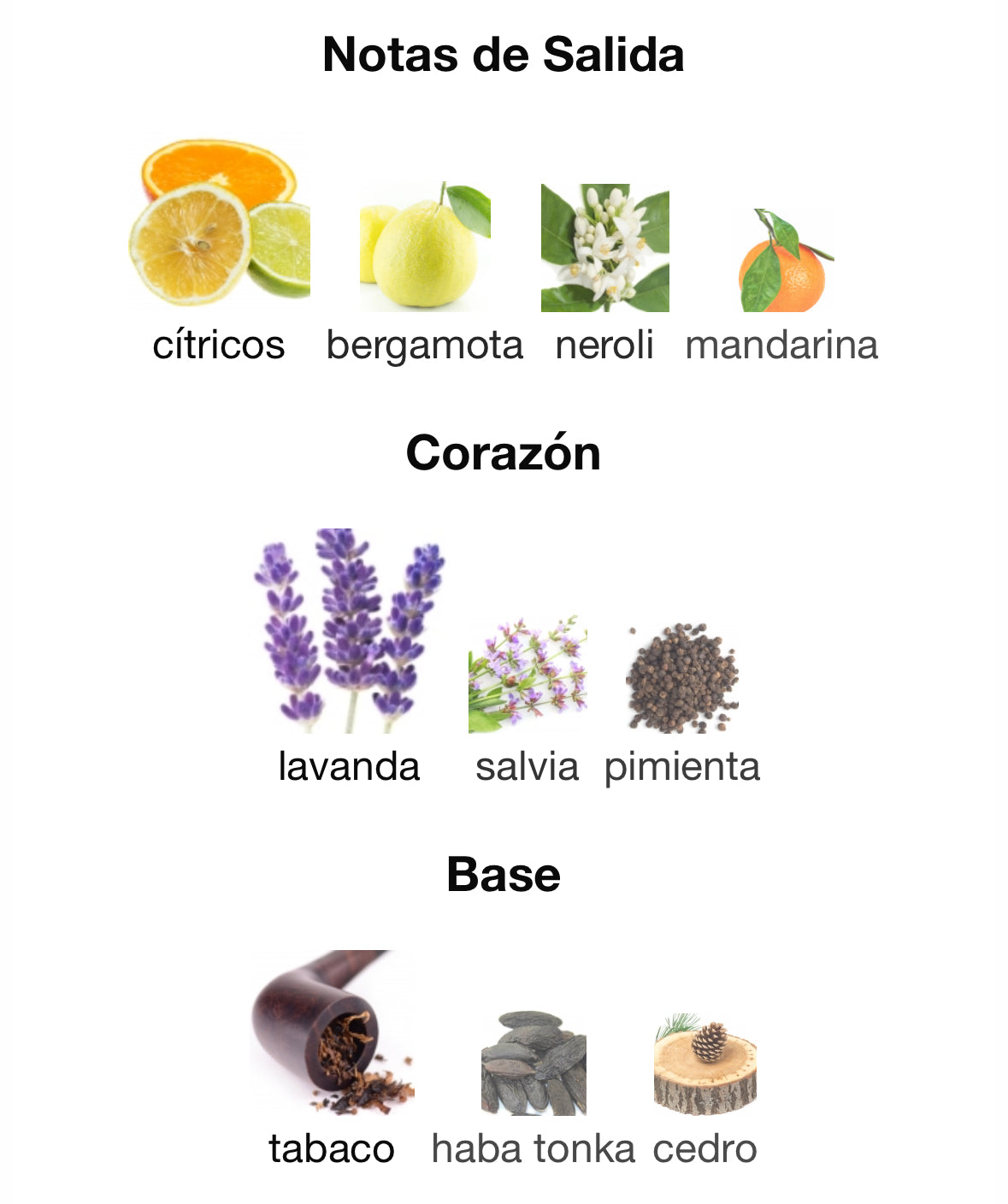 Dolce & Gabbana Pour Homme