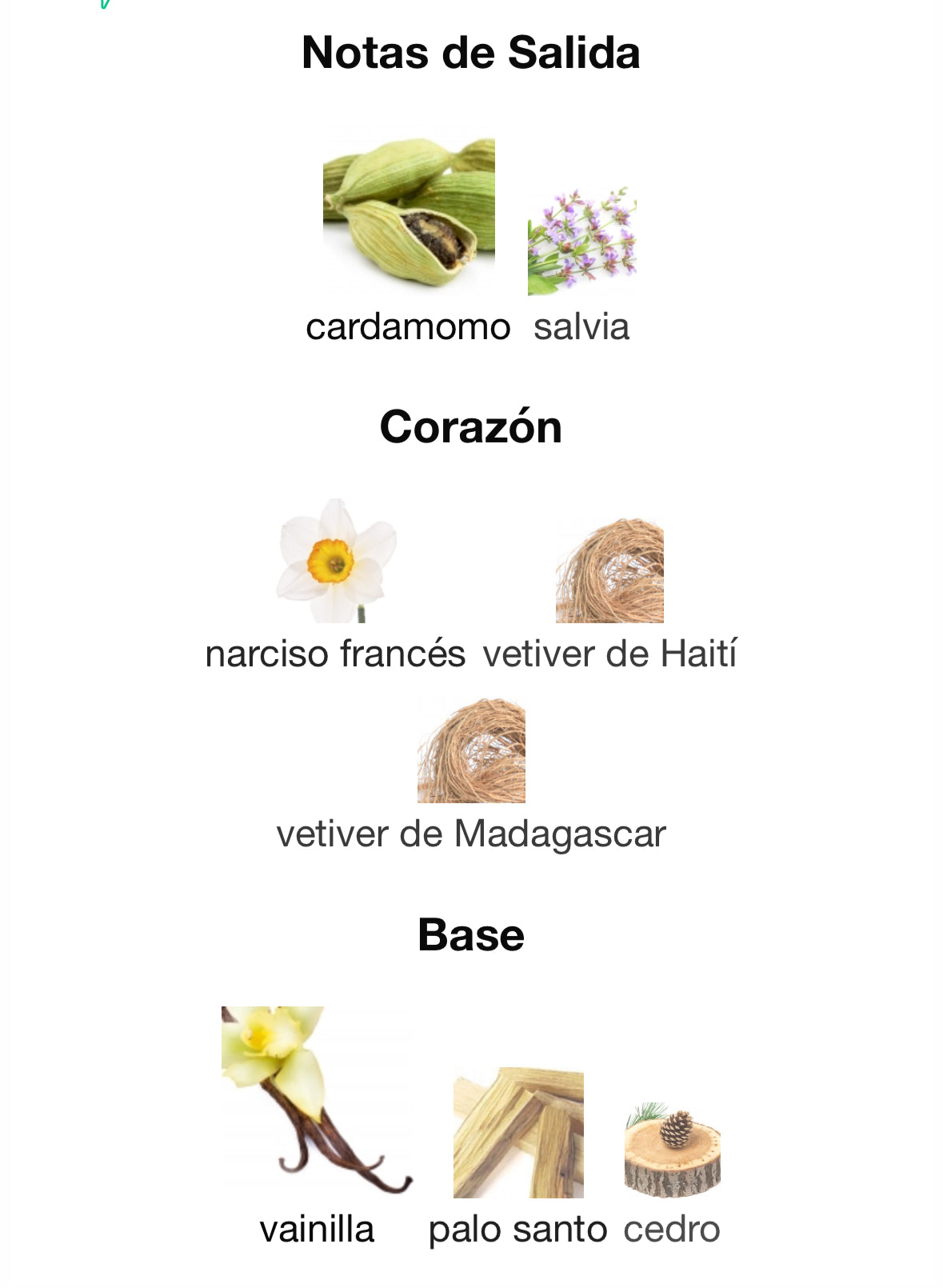 Givenchy Gentleman Society EDP