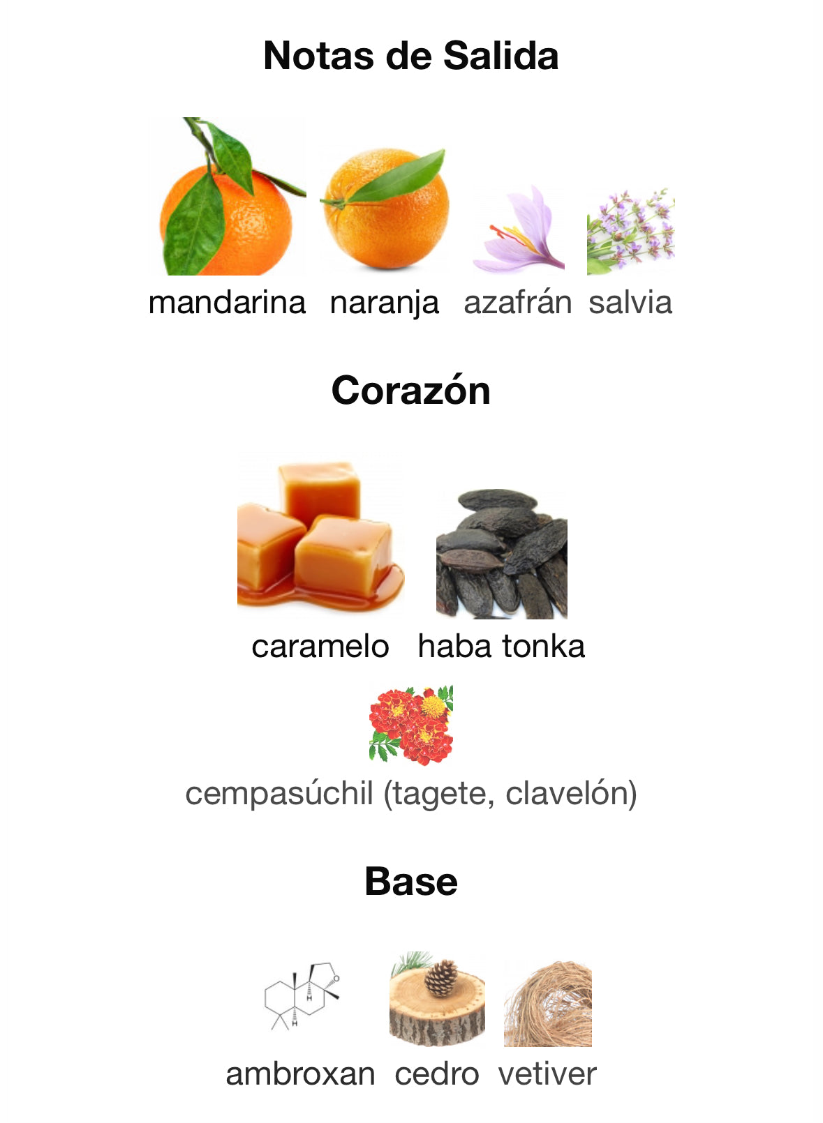 Armaf Odyssey Mandarin Sky Limited 100ml