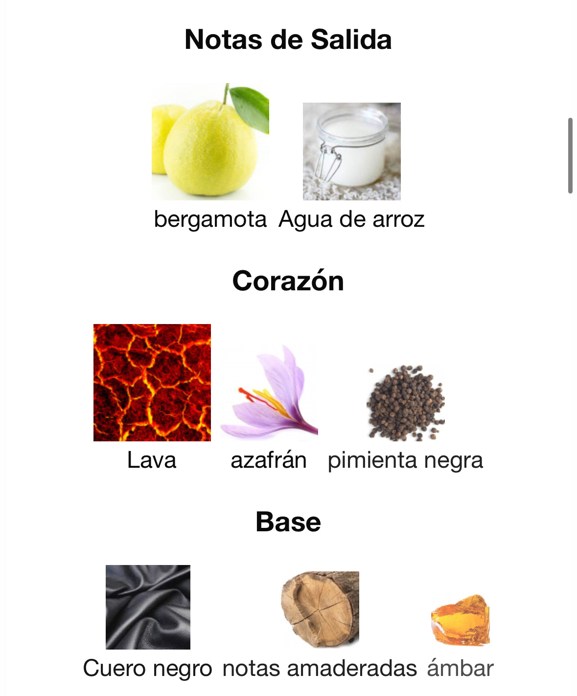 360 Collection Noir Men 100ml EDT