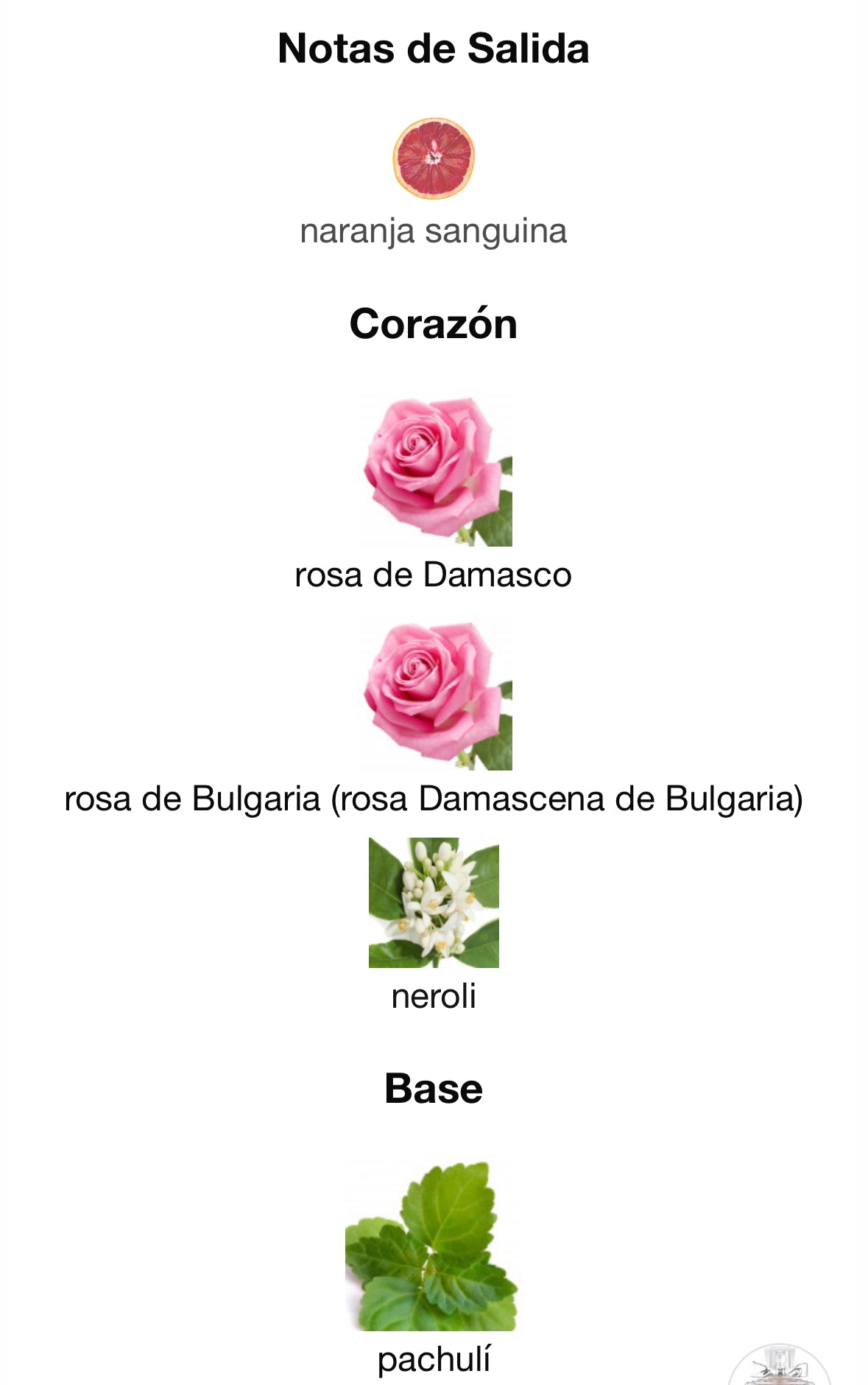 Tester Miss Dior Toilette 100ml