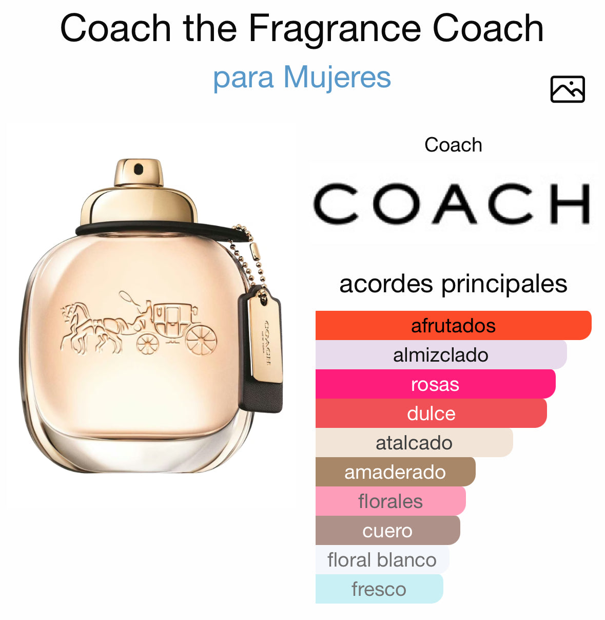 Coach 90ml EDP
