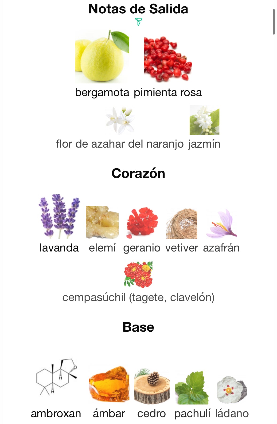 Armaf Club de Nuit Urban Man Elixir EDP 105ml