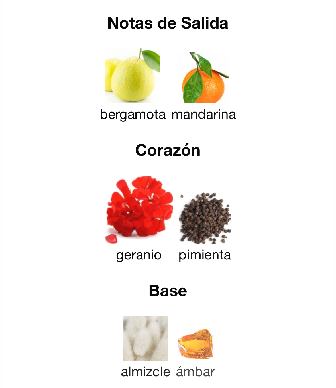 Loewe Pour Home sport