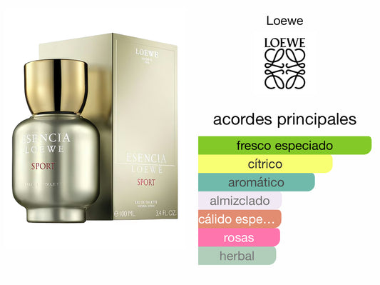 Loewe Pour Home sport