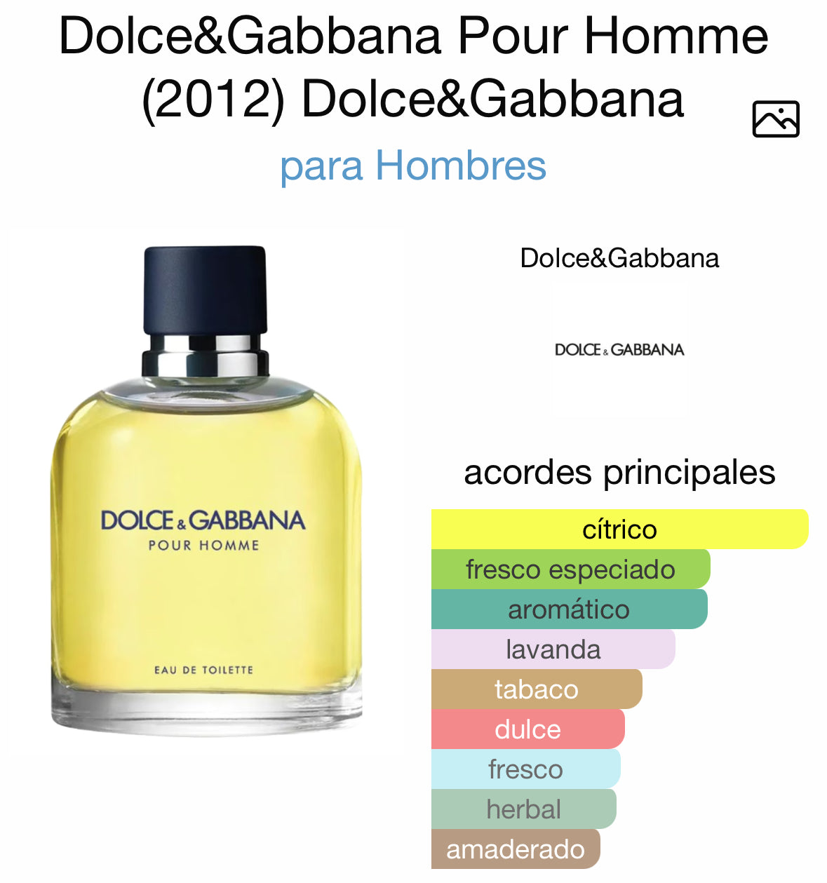 Dolce & Gabbana Pour Homme