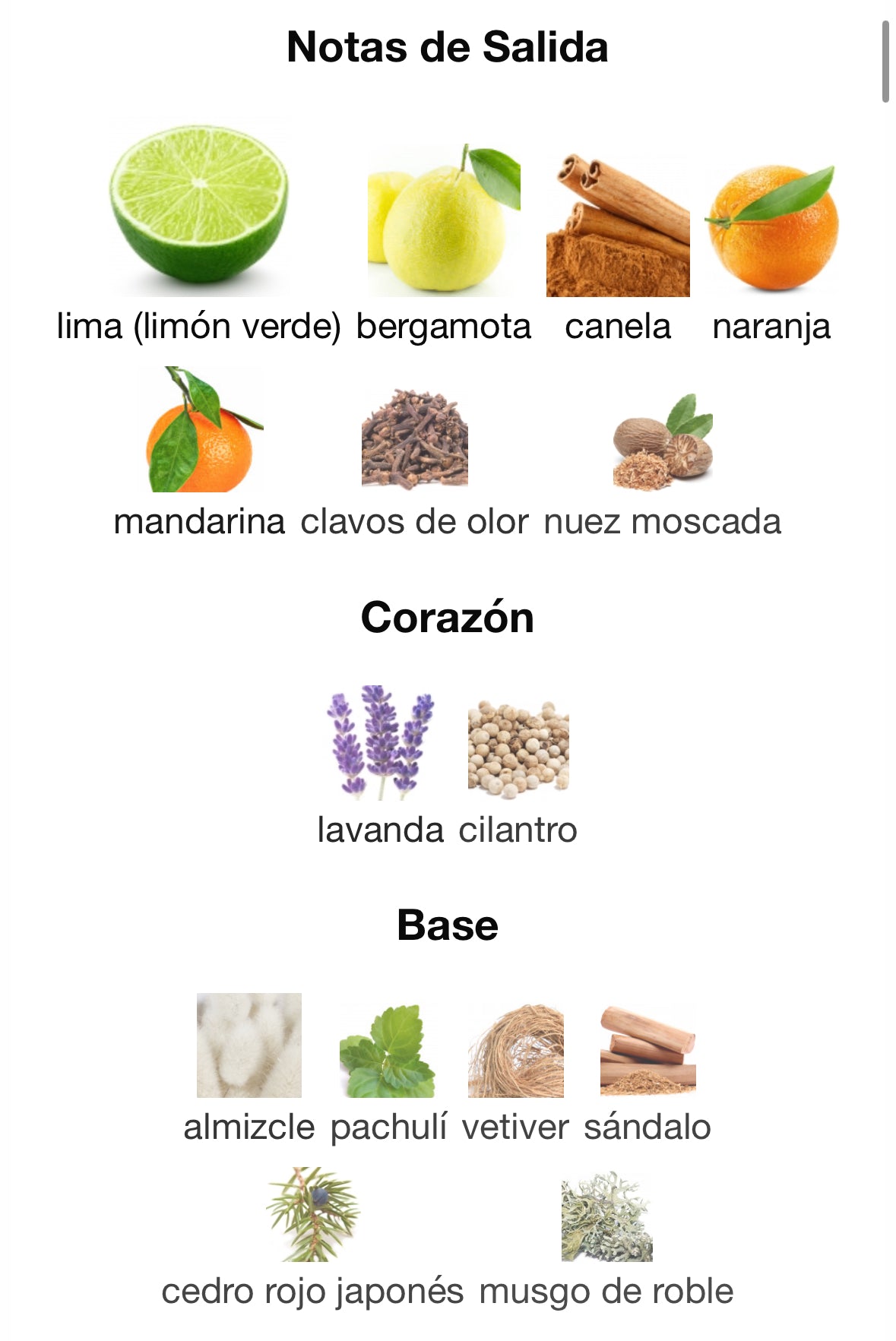 360 Red Men 100ml EDT